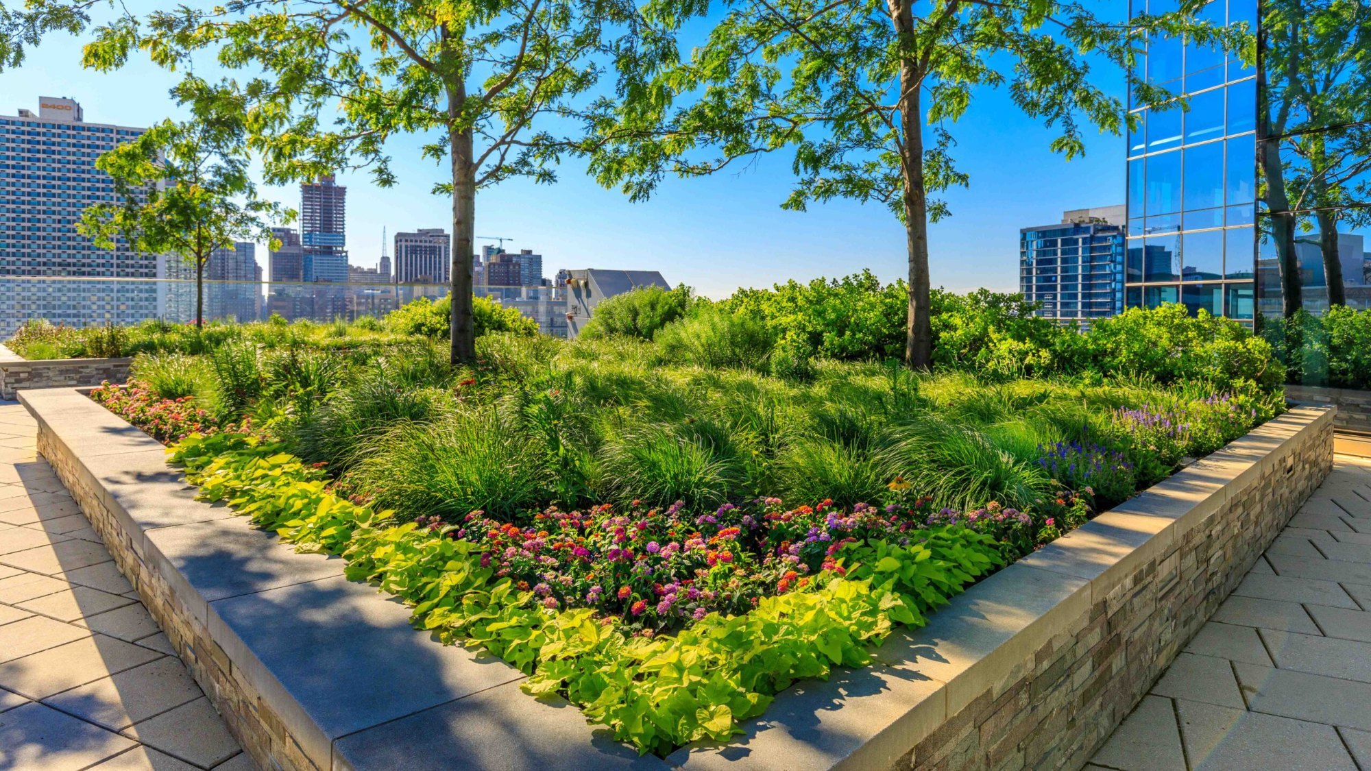 Landscaping for Commercial